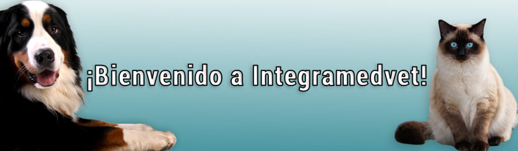 Banner bienvida Integra